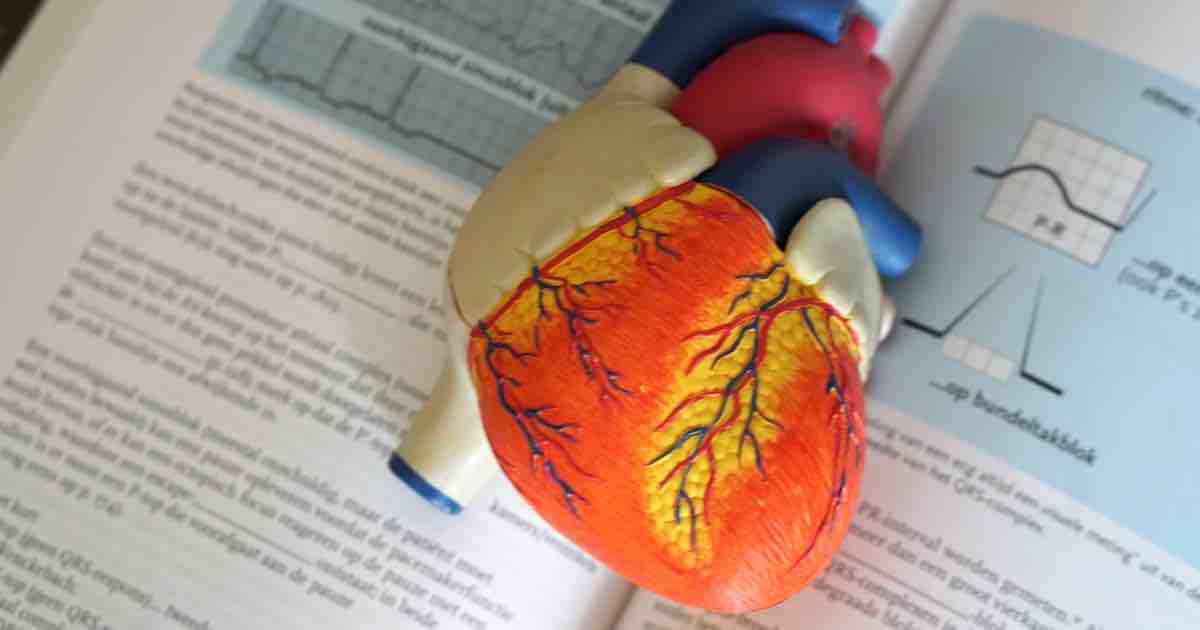 全方位的長照衛教知識就在長照喵